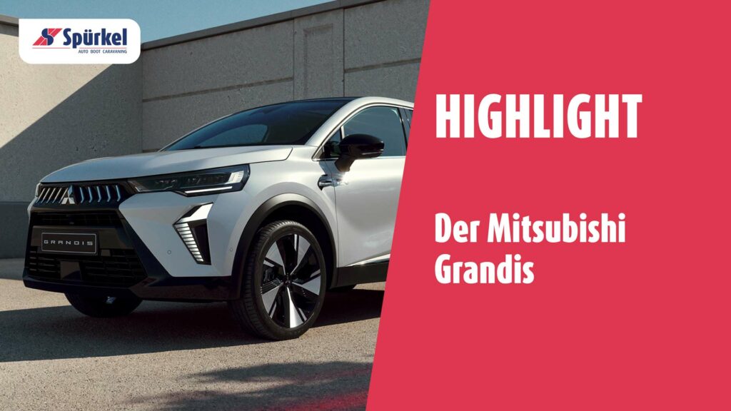 Mitsubishi Grandis Blogeintrag
